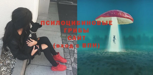 герыч Алексин