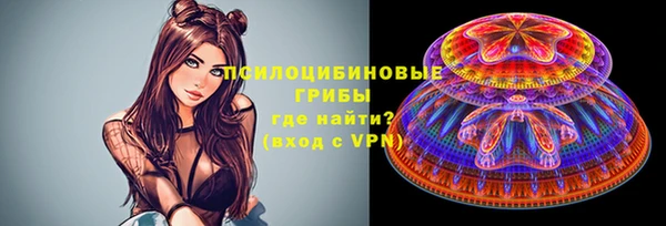 хмурый Алзамай