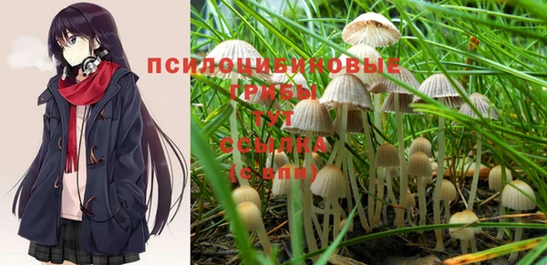 герыч Алексин