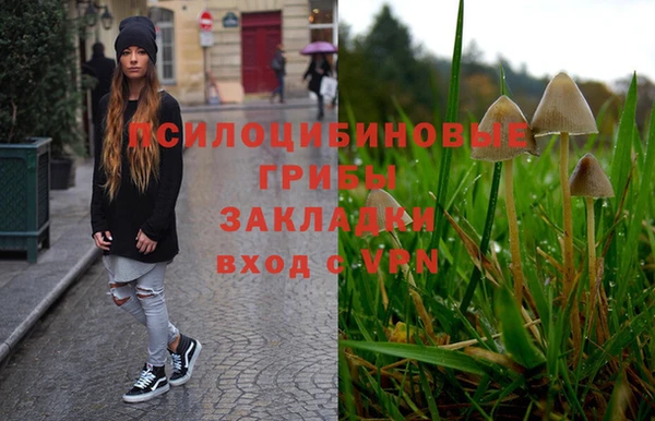 герыч Алексин