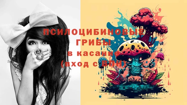 хмурый Алзамай