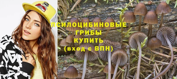 метамфетамин Алексеевка