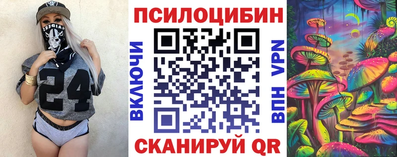 Галлюциногенные грибы Psilocybine cubensis  купить закладку  Александровское 